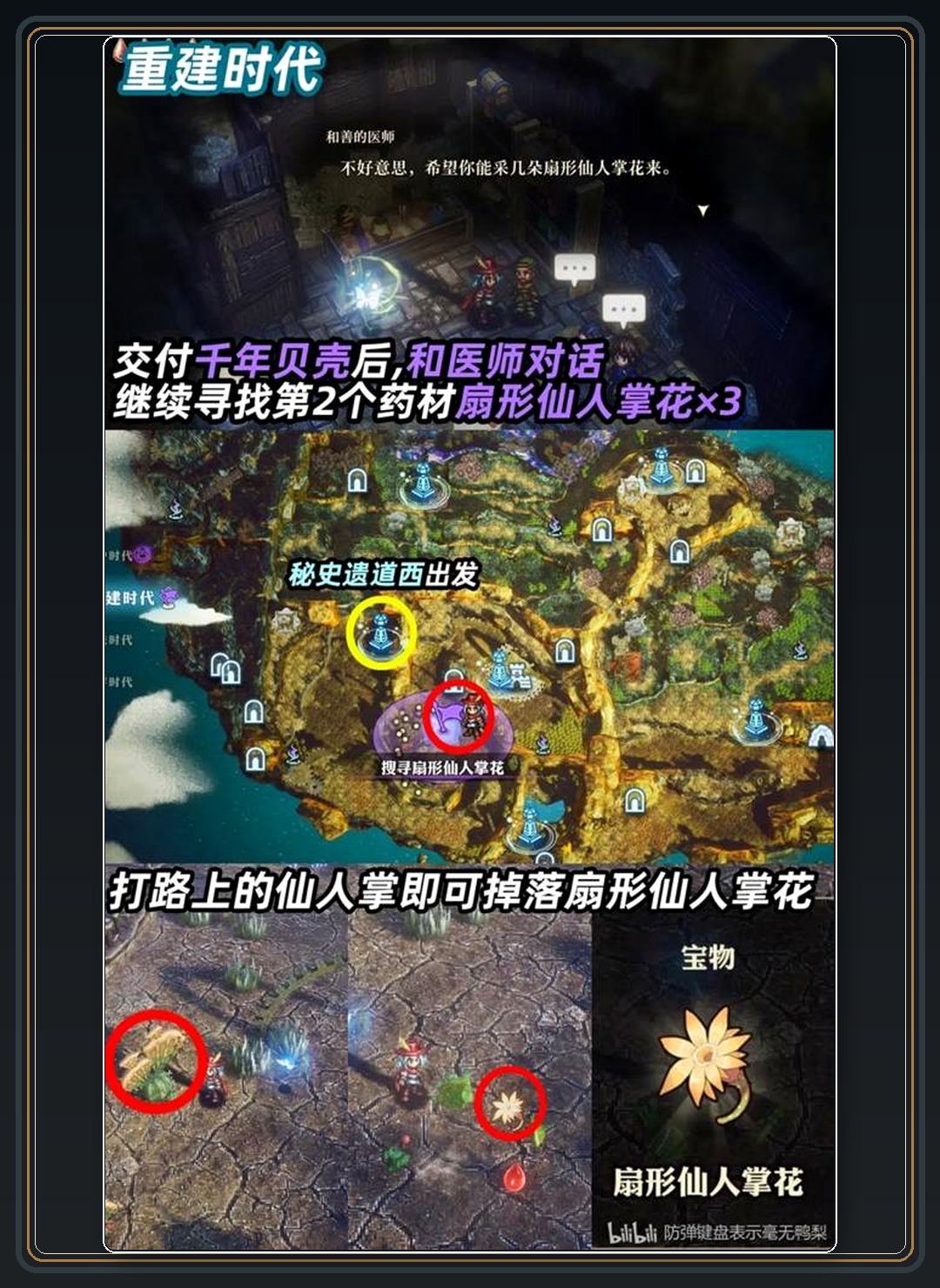 攻略配图 16